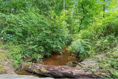 590 W Highway 5, Roopville, GA 30170 - Photo 58