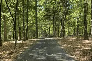 21 River Rd, Woodland, GA 31836 - Photo 30