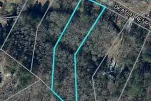 6990 Deaton Henry Rd, Flowery Branch, GA 30542 - Photo 4