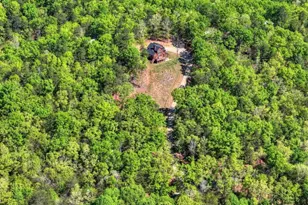 769 Voylestown Rd, Morganton, GA 30560 - Photo 64