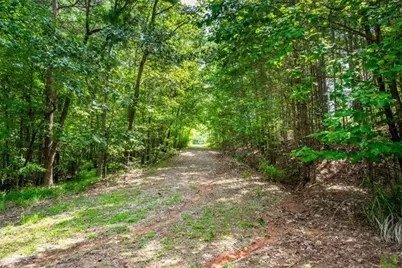 271 Big Sky Lane, Jasper, GA 30143 - Photo 58