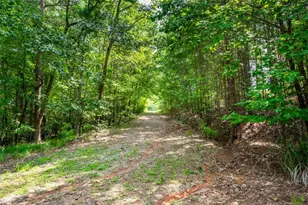 271 Big Sky Ln, Jasper, GA 30143 - Photo 58