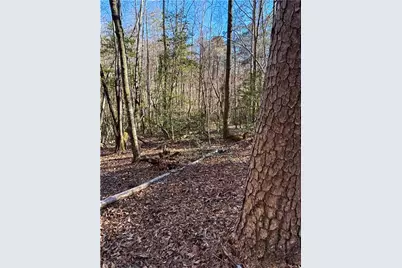 0 Highway 19 N, Dahlonega, GA 30533 - Photo 26