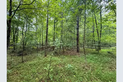 0 Highway 19 N, Dahlonega, GA 30533 - Photo 8