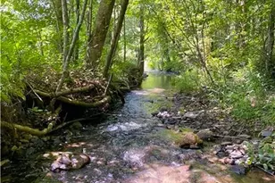 0 Hwy 19 N, Dahlonega, GA 30533 - Photo 1