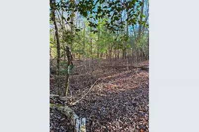 0 Highway 19 N, Dahlonega, GA 30533 - Photo 24