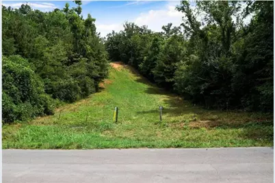 0 Hanes Road, Oakman, GA 30732 - Photo 4