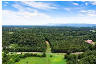 0 Hanes Rd, Oakman, GA 30732 - Photo 1