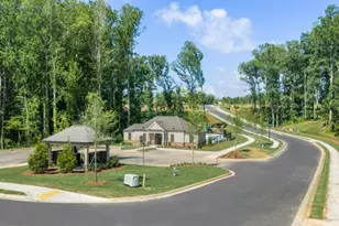 [Address not provided], Dawsonville, GA 30534 - Photo 36