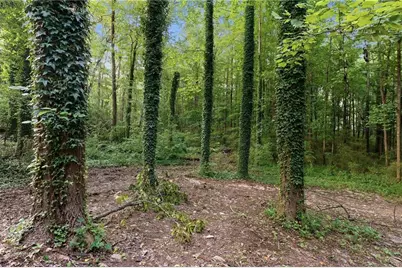 [Address not provided], Stone Mountain, GA 30088 - Photo 26