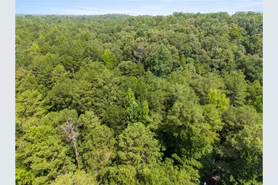 0 Pickett Bridge Road, Covington, GA 30016 - Photo 6