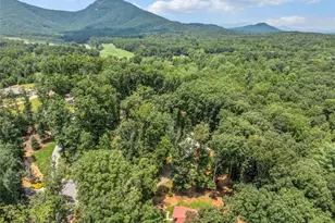88 Old Vineyard Wy, Cleveland, GA 30528 - Photo 4
