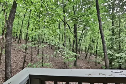 273 Indian Pipe Drive, Big Canoe, GA 30143 - Photo 32