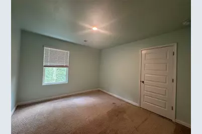 146 Silver Birch Pass, Newnan, GA 30265 - Photo 12