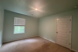 146 Silver Birch Pass, Newnan, GA 30265 - Photo 12