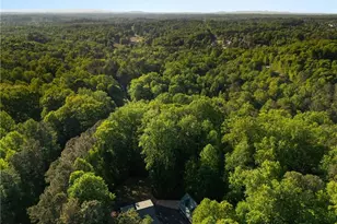 311 Woodland Brook Dr, Canton, GA 30115 - Photo 60