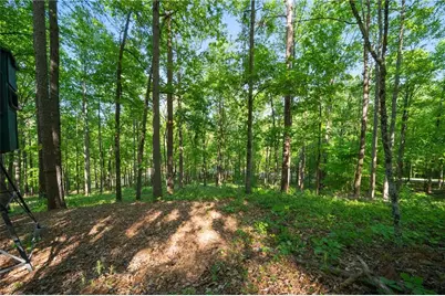 311 Woodland Brook Drive, Canton, GA 30115 - Photo 64