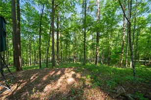 311 Woodland Brook Dr, Canton, GA 30115 - Photo 64
