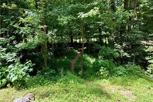 311 Woodland Brook Dr, Canton, GA 30115 - Photo 66