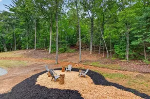 208 McClure Way, Blue Ridge, GA 30513 - Photo 28