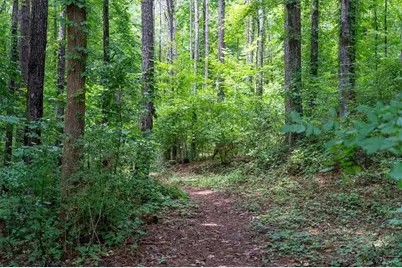 3 Creekside Way, Newnan, GA 30265 - Photo 88