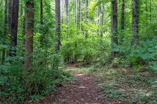 3 Creekside Way, Newnan, GA 30265 - Photo 88