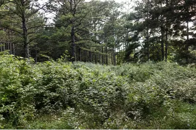 1870 Double Springs Church Road, Monroe, GA 30656 - Photo 18