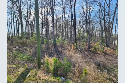 0 Highway 92, Douglasville, GA 30134 - Photo 6