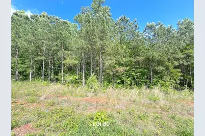 172 Oakdale Way, Temple, GA 30179 - Photo 1