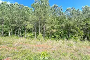 172 Oakdale Wy, Temple, GA 30179 - Photo 1