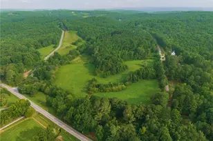 10700 Reinhardt College Pkwy, Waleska, GA 30183 - Photo 8