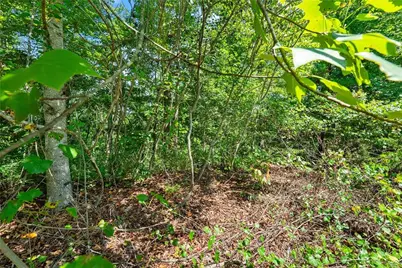 0 Flat Rock Point, Dahlonega, GA 30533 - Photo 8