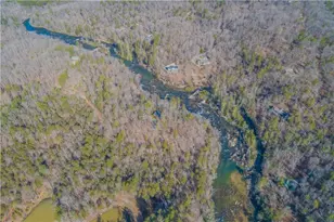 1113 River Rd, Cleveland, GA 30528 - Photo 50