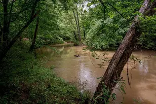 1715 Ammons Bridge Rd, Monroe, GA 30655 - Photo 76