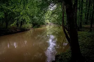 1715 Ammons Bridge Rd, Monroe, GA 30655 - Photo 78