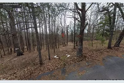 0 Old White Oak Cemetery Road, Dallas, GA 30157 - Photo 2