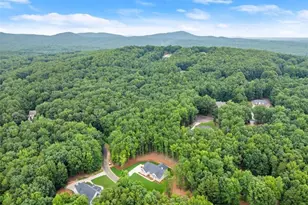 708 Plum Ln, Clarkesville, GA 30523 - Photo 46