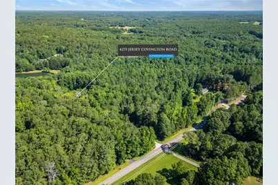 4275 Jersey Covington Road, Covington, GA 30014 - Photo 6