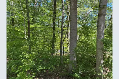 Lot 15 Cross Creek Drive, Toccoa, GA 30577 - Photo 6