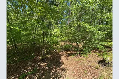 Lot 15 Cross Creek Drive, Toccoa, GA 30577 - Photo 4