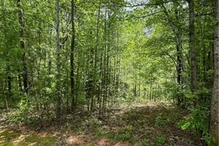 205 White Birch Dr, Covington, GA 30016 - Photo 1