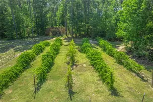 1269 Tarver Rd, Davisboro, GA 31018 - Photo 18
