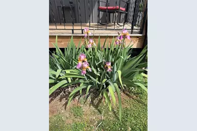 112 Forrest Avenue, Cartersville, GA 30120 - Photo 52