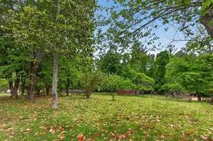 205 Upper Bethany Trl, Ball Ground, GA 30107 - Photo 26