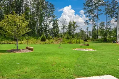 54 Umber Lane, Newnan, GA 30263 - Photo 42