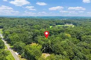1267 Old Victron School Rd, Hoschton, GA 30548 - Photo 92