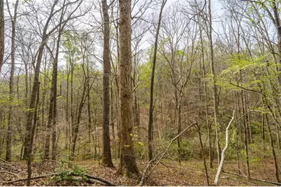3467 Carver Mill Road, Talking Rock, GA 30175 - Photo 16