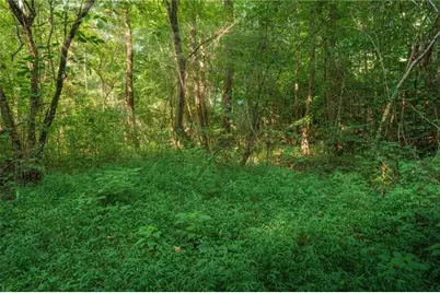 00 Bill Smith Drive, Canton, GA 30114 - Photo 20