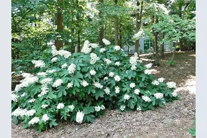 3300 Windy Ridge Parkway SE #1007, Atlanta, GA 30339 - Photo 42