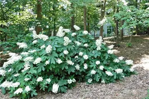 3300 Windy Ridge Parkway SE, Atlanta, GA 30339 - Photo 42